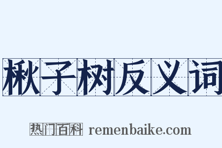 楸子树反义词是什么意思的图片